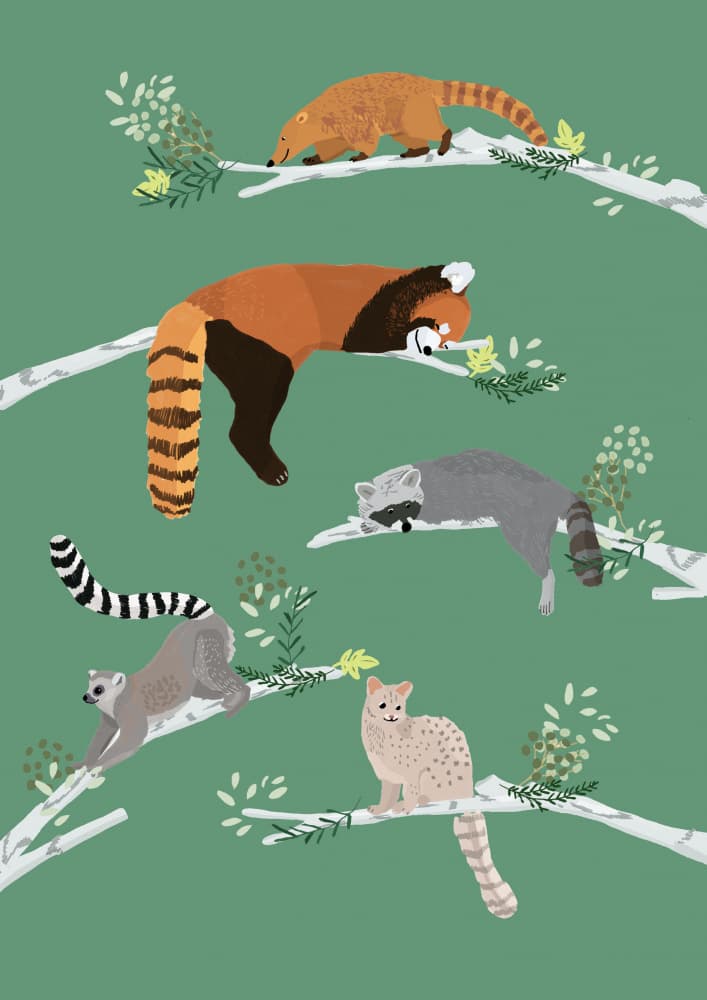Sleeping Forest Friends by Hanna Melin — canvas wall art