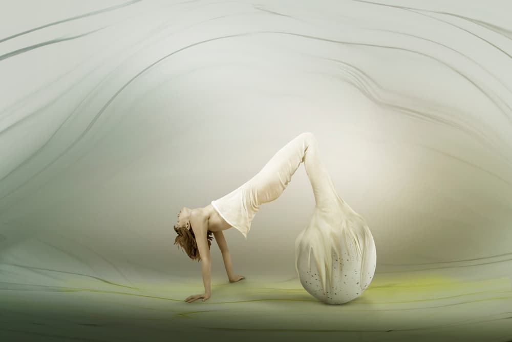 Graceful Organic Form by Christine von Diepenbroek — canvas wall art