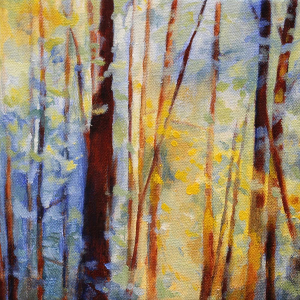Golden Forest Light by Claire Whitehead — canvas wall art