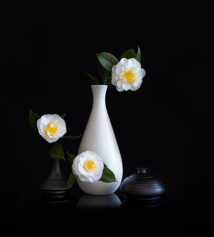 White Camellias Still Life by Joanna W — canvas wall art
