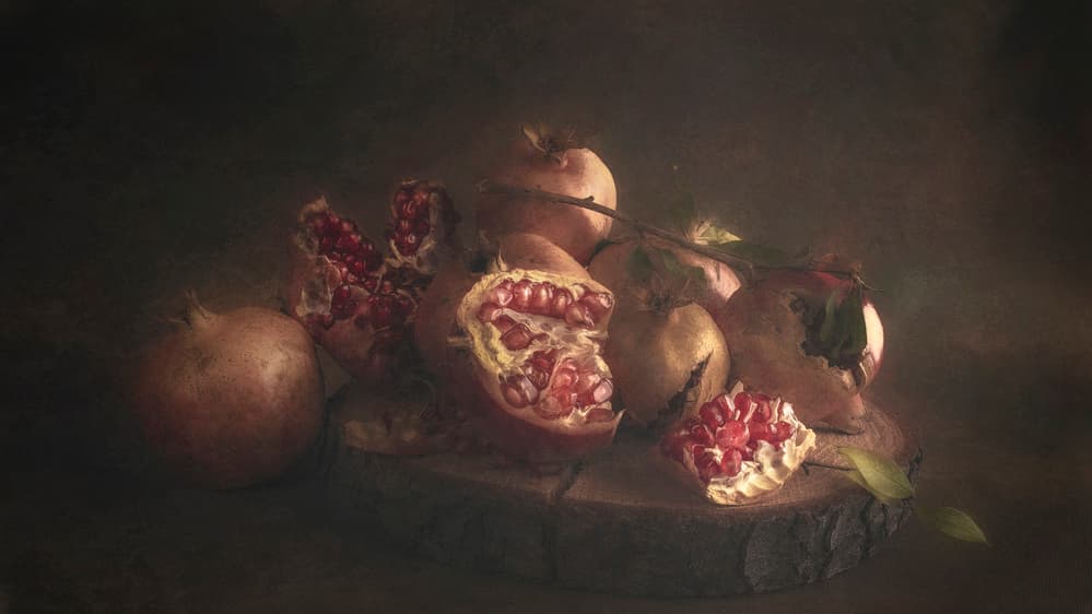Dark Pomegranate Still Life by Cicek Kiral — canvas wall art