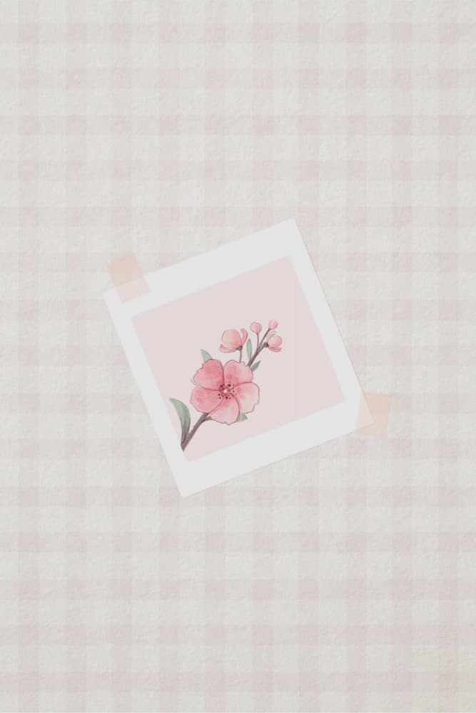 Pink Blossom Polaroid by Xuan Thai — canvas wall art