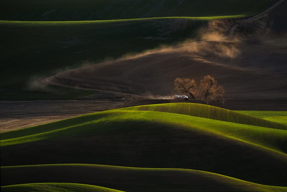 Green Fields Dust Trail by Lydia Jacobs — canvas wall art