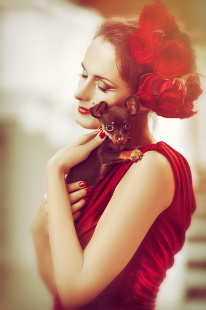 Elegant Woman Puppy Love by Ruslan Bolgov — canvas wall art