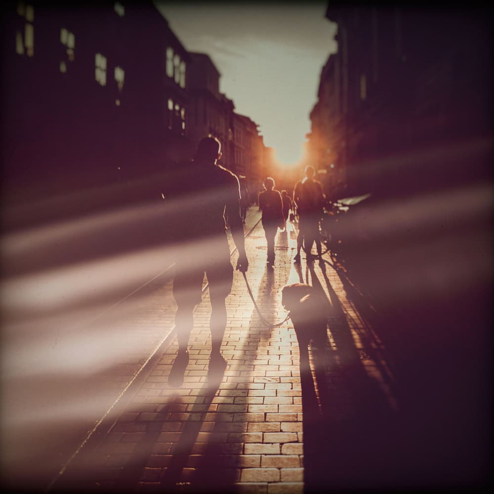 Golden Hour Walk by Justyna Jaszke — canvas wall art