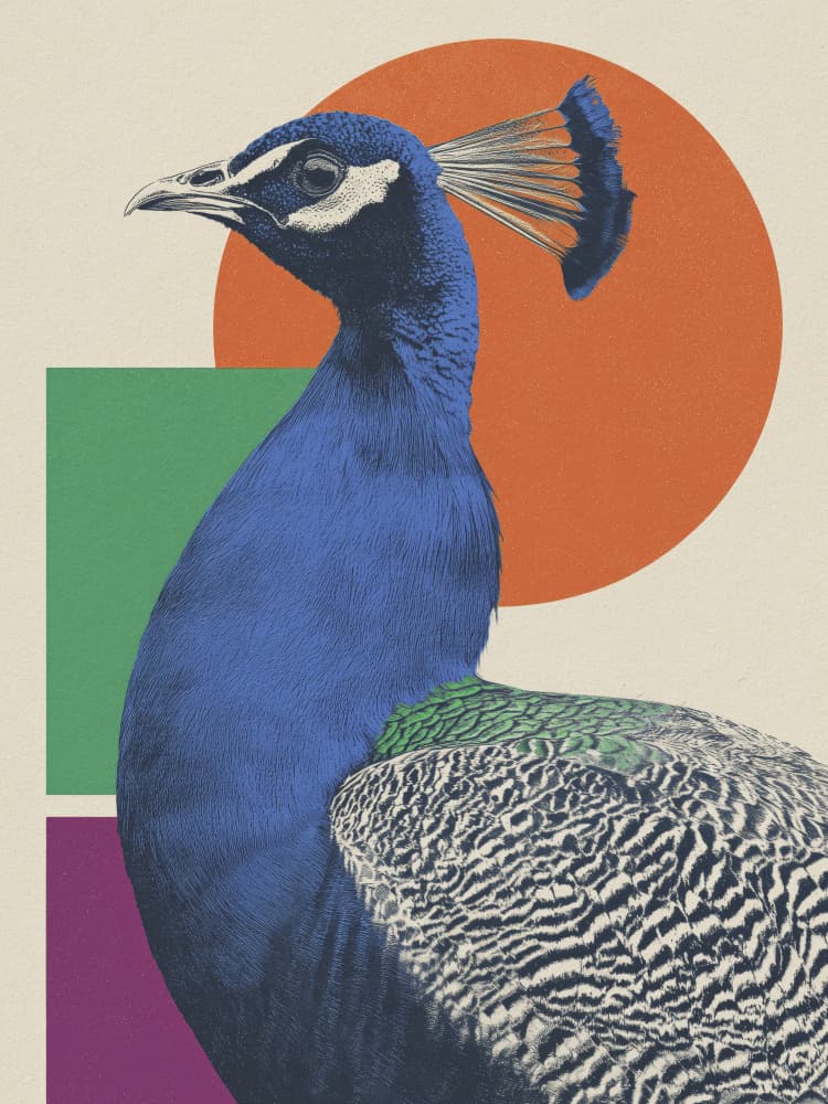 Vibrant Peacock Portrait by Andreas Magnusson — canvas wall art
