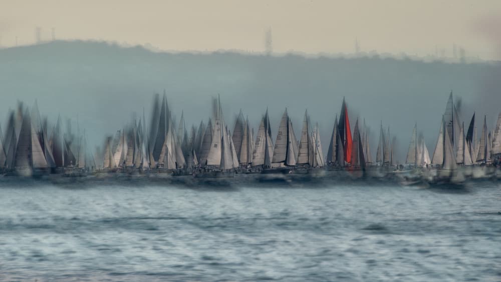 Red Sail Regatta by Milan Malovrh — canvas wall art
