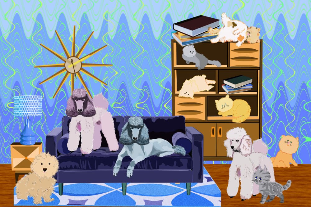 Poodle And Cat Family by Lynnda Rakos — canvas wall art