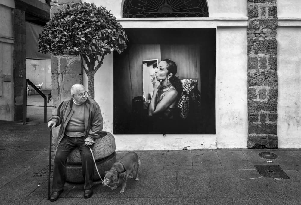 Man Dog City Scene by Holger Goehler — canvas wall art