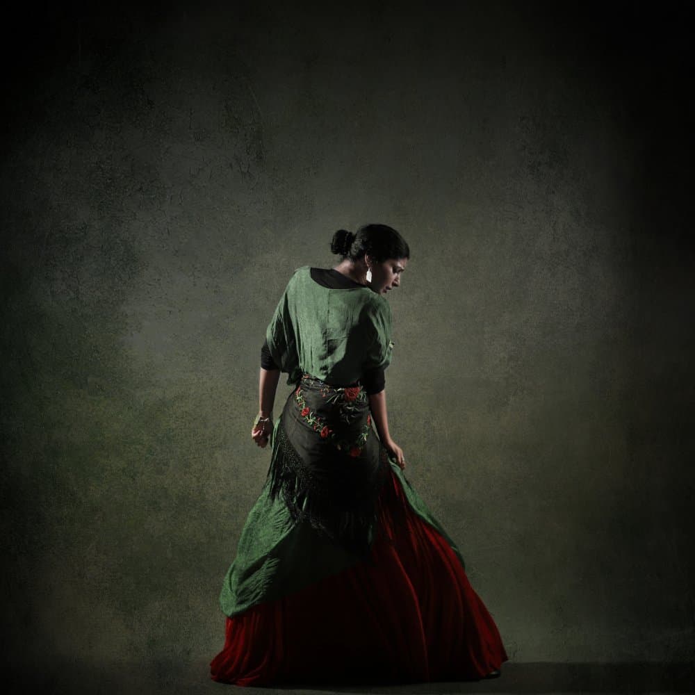 Elegant Flamenco Dancer by Moein Hasheminasab — canvas wall art