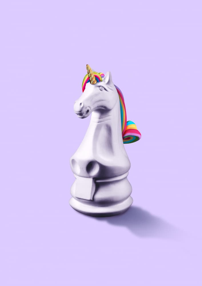 Rainbow Unicorn Knight by Artem Pozdniakov — canvas wall art