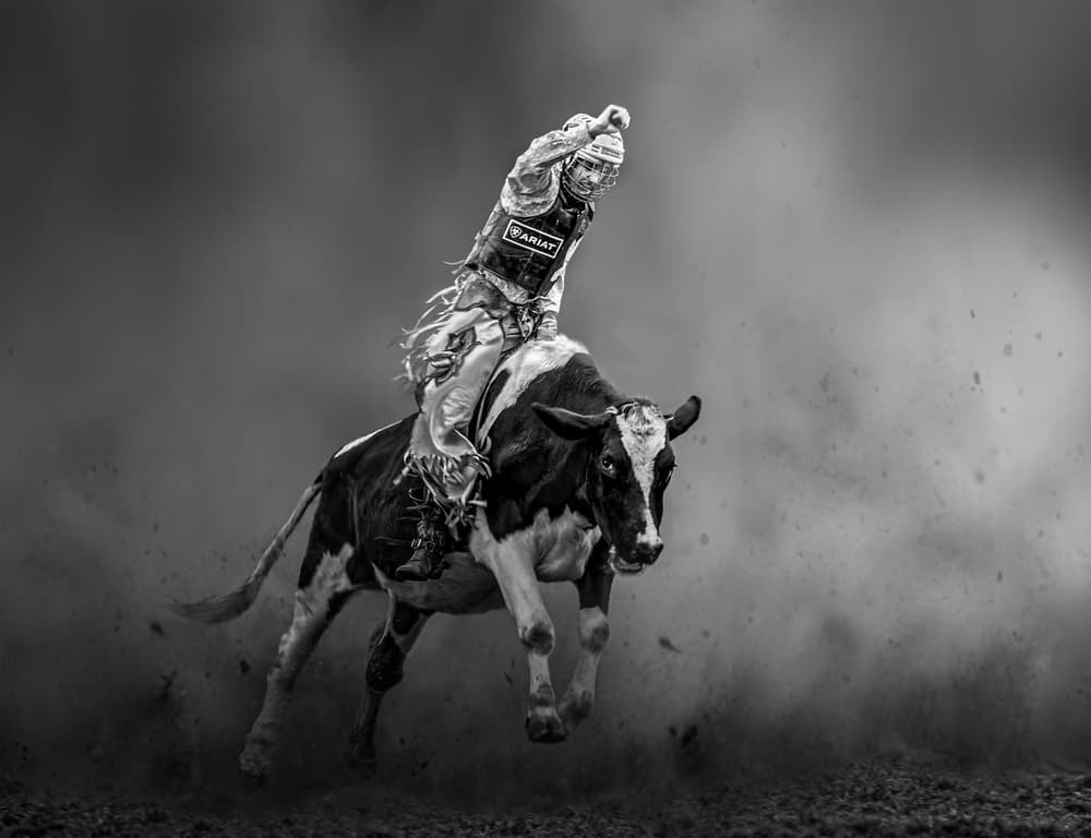 Dusty Rodeo Action by Irene Wu — canvas wall art