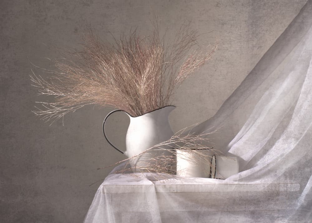 White Pitcher Dried Grass by Margareth Perfoncio — canvas wall art
