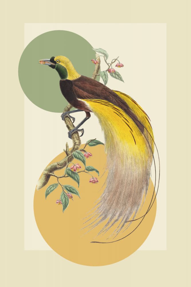Exotic Paradise Bird by Marja van den Hurk — canvas wall art