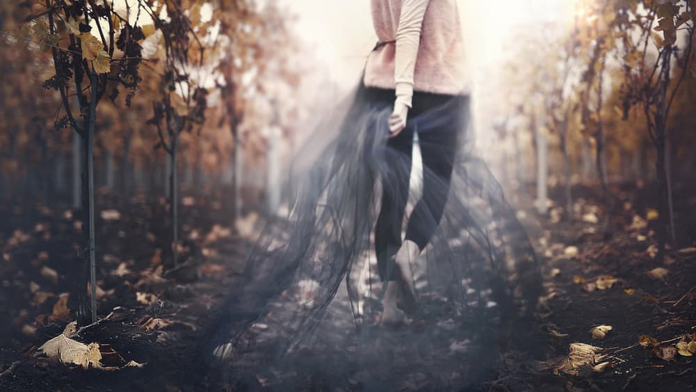 Mysterious Autumn Stroll by Bettina Tautzenberger — canvas wall art