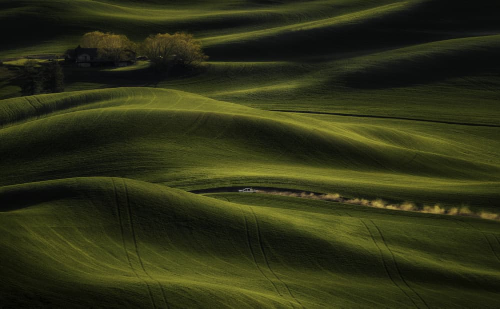 Rolling Hills Dusty Road by David Guo — canvas wall art