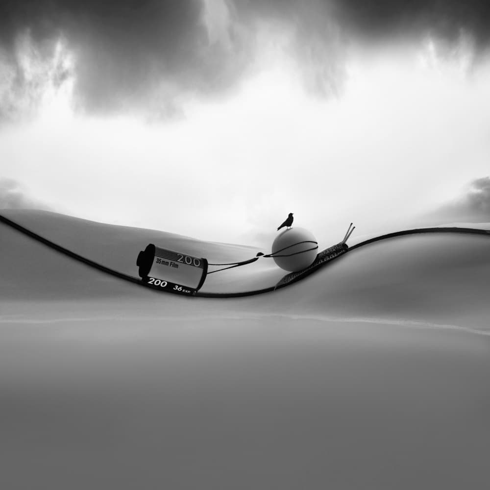 Snail's Film Journey by Hadi Malijani (Malenjani) — canvas wall art