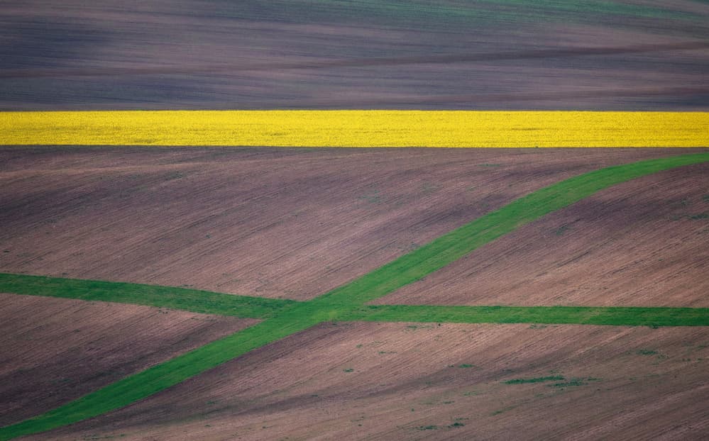 Yellow Field Patterns by Ales Krivec — canvas wall art