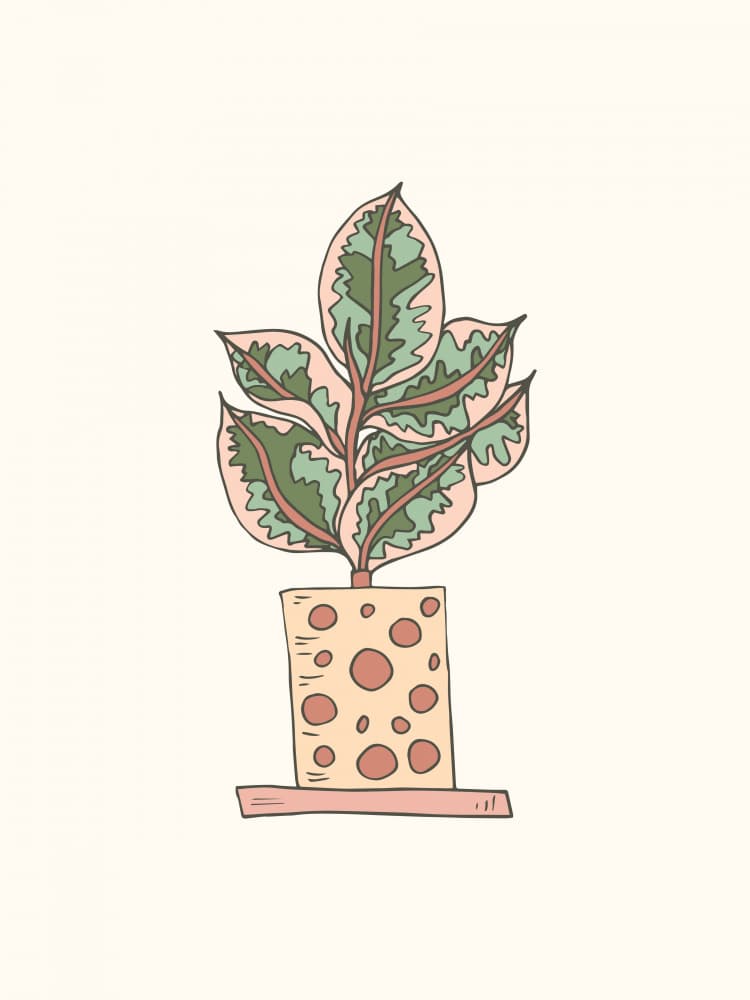 Cute Potted Houseplant by Olena Kovalova — canvas wall art