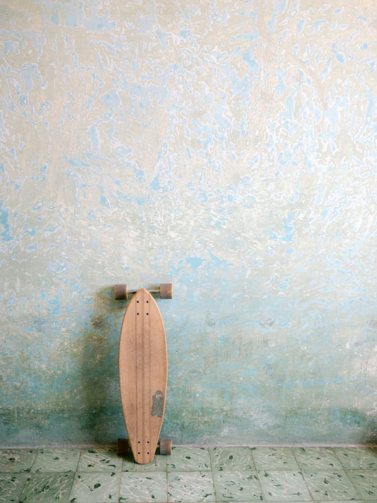 The Surf Skate by Raisa Zwart — canvas wall art