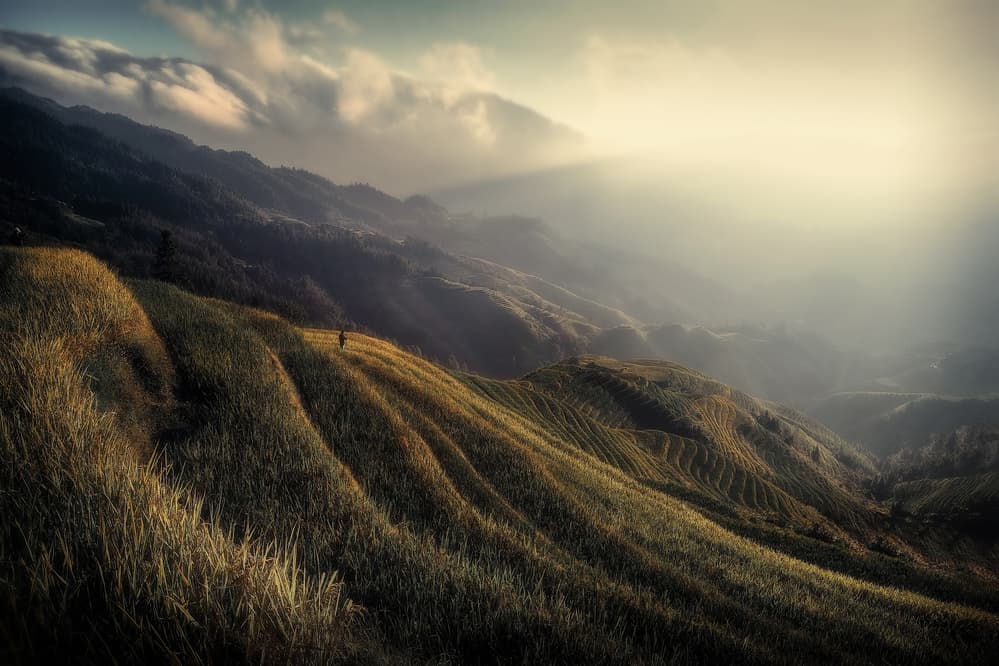 Golden Hills Morning Light by Fabrizio Massetti — canvas wall art