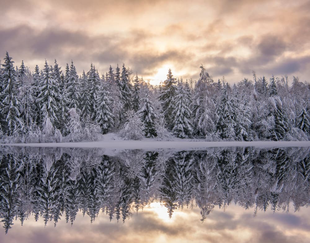 Serene Winter Reflection by Christian Lindsten — canvas wall art