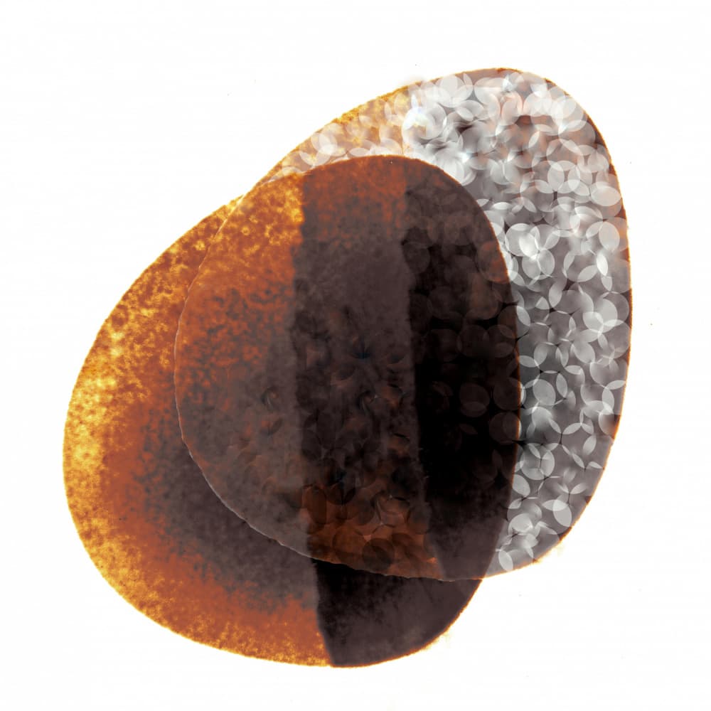 Earthy Translucent Layers by Christina Sillen — canvas wall art