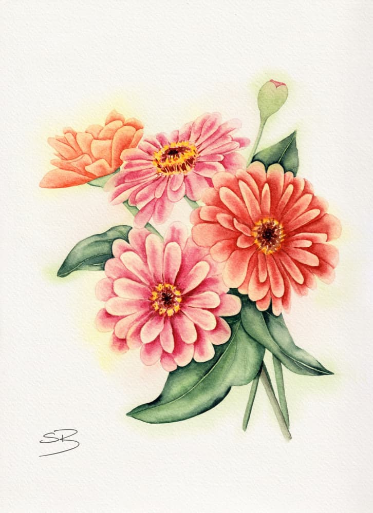 Vibrant Zinnia Bouquet by Salome — canvas wall art