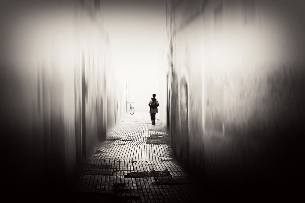 Solitary Path Ahead by Gloria Staffa — canvas wall art