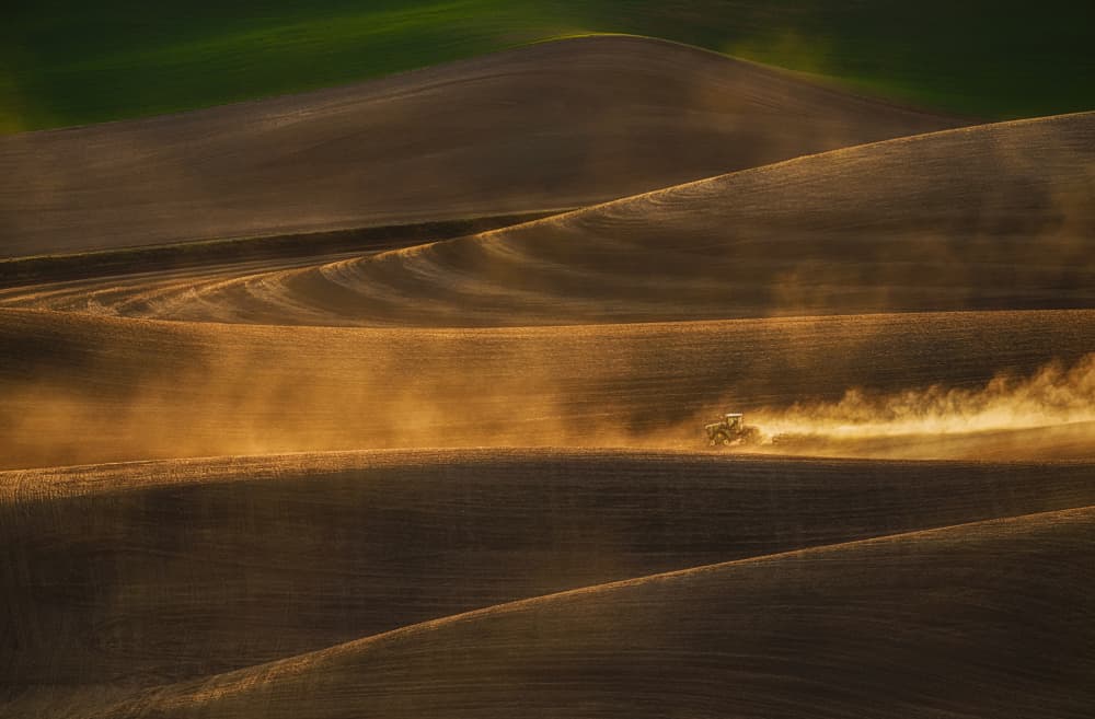 Golden Fields Tractor Dust by Lydia Jacobs — canvas wall art