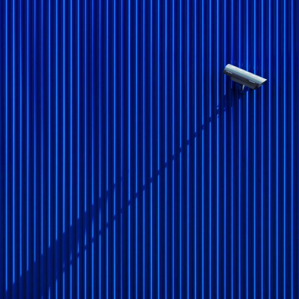 Vivid Blue Surveillance by Greetje van Son — canvas wall art