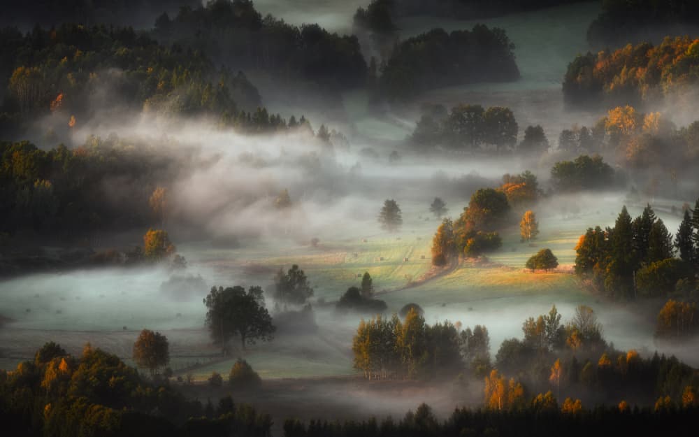 Golden Autumn Mist by Tomasz Rojek — canvas wall art