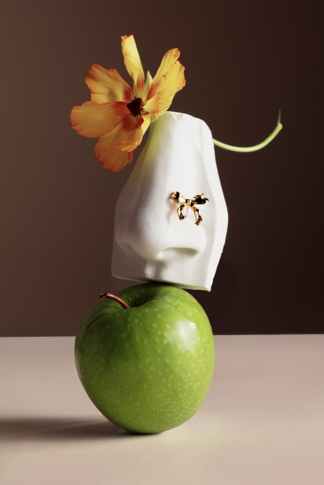 Whimsical Apple Nose by Julia Ramiro — canvas wall art