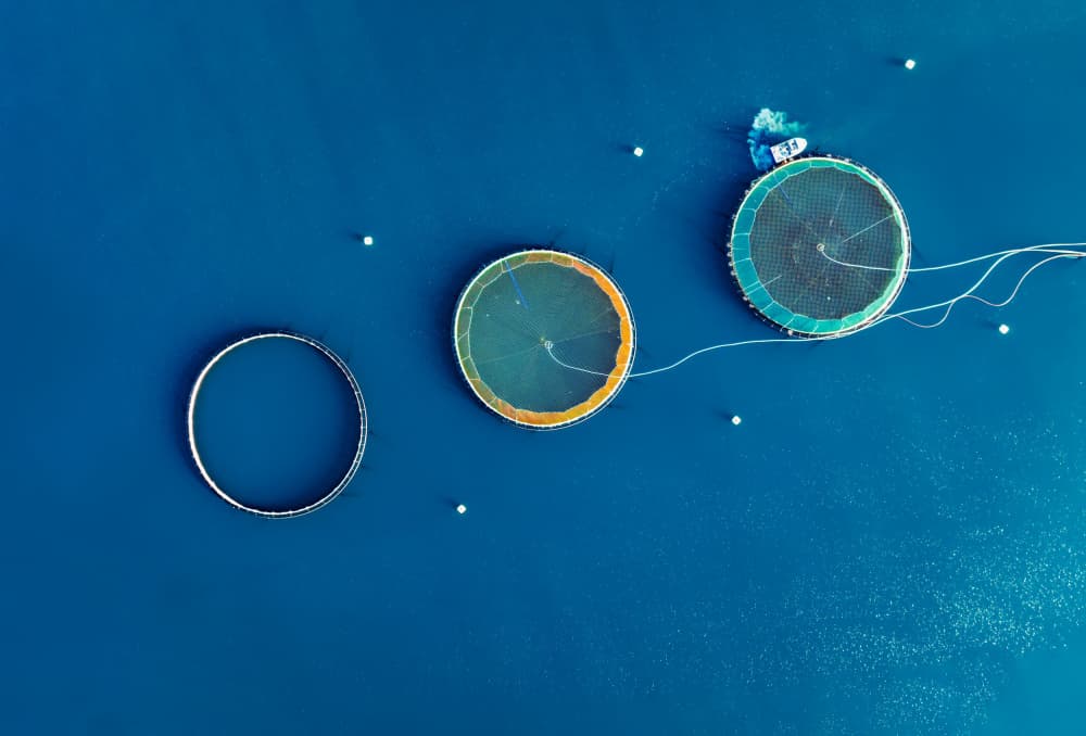 Ocean Farm Circles by Wei (David) Dai — canvas wall art