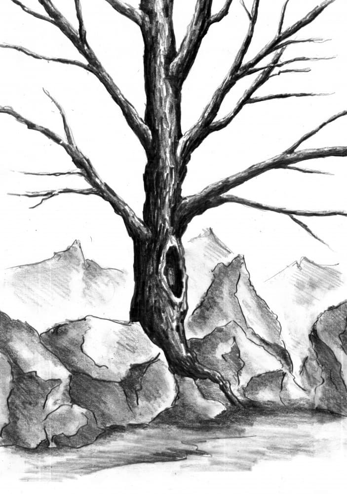Mystical Mountain Tree by Kulik — canvas wall art