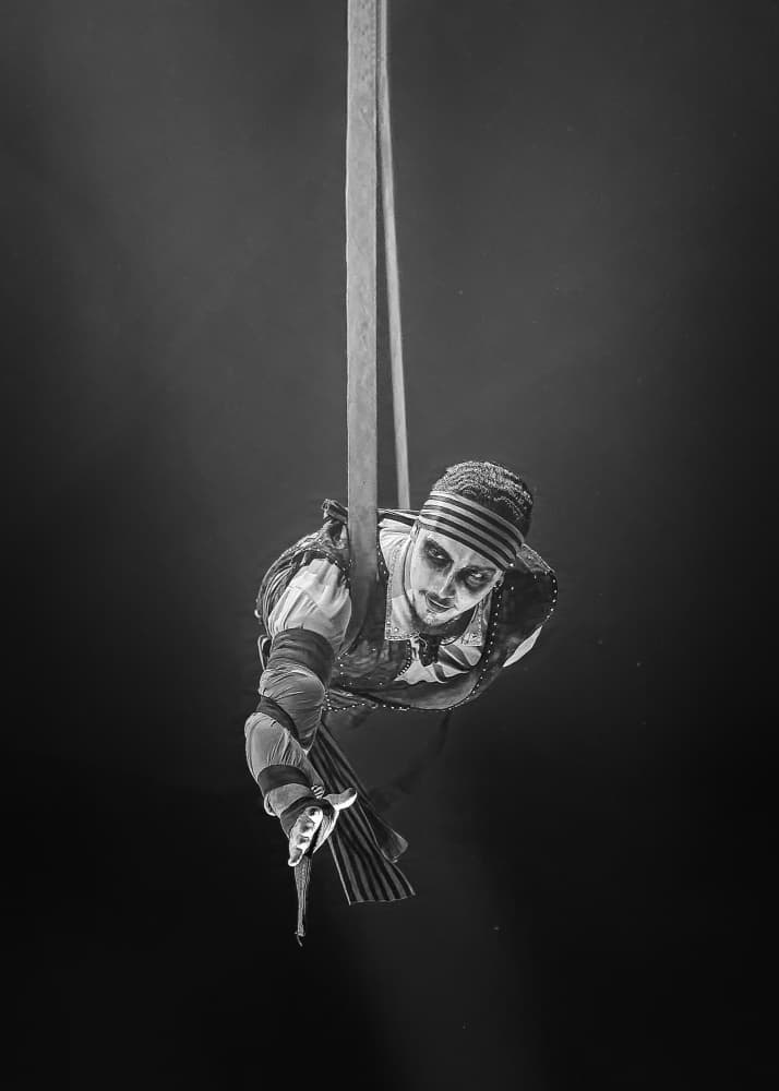 Gothic Aerial Performer by Valentin Borsan — canvas wall art