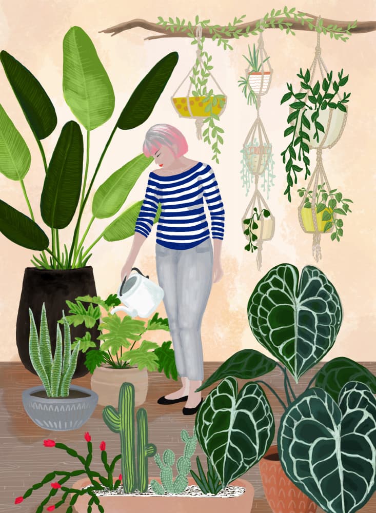 My Indoor Garden by Rosana Laiz Blursbyai — canvas wall art