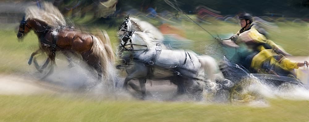 Harness Race Splash by Milan Malovrh — canvas wall art