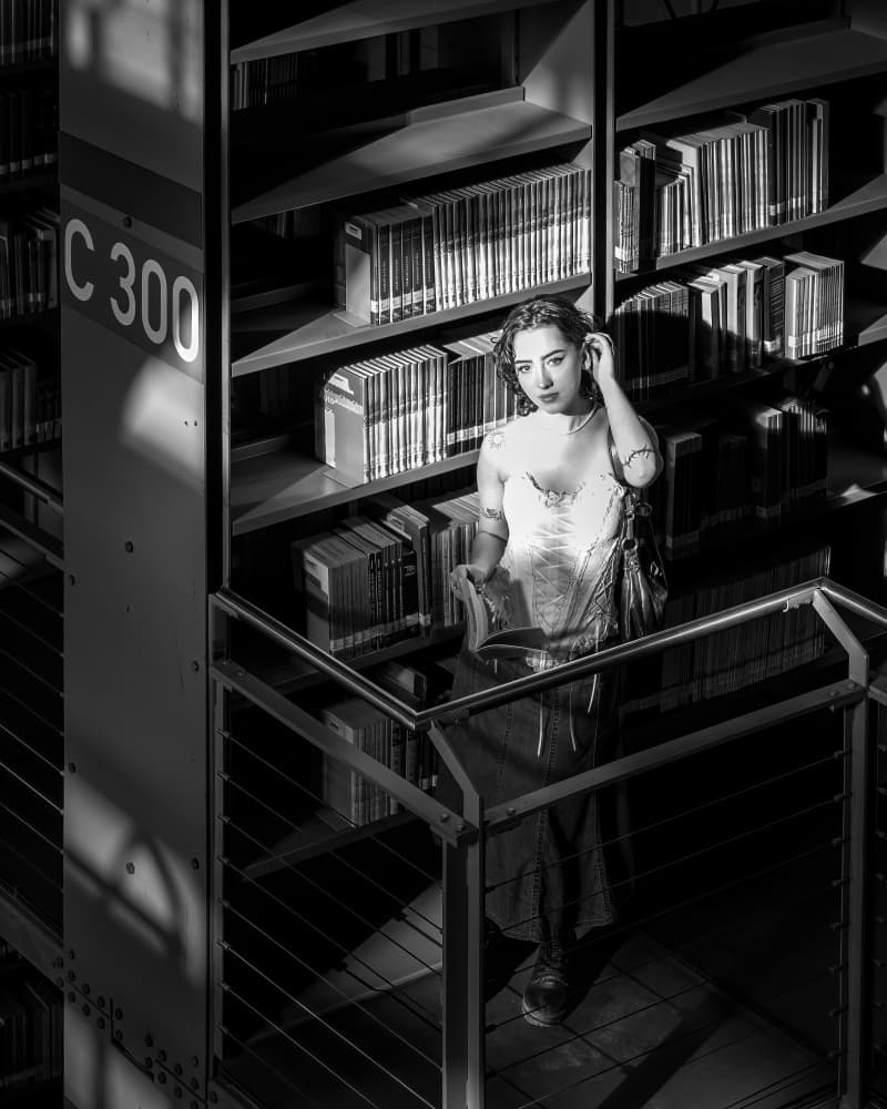 Dramatic Library Portrait by Irene Wu — canvas wall art