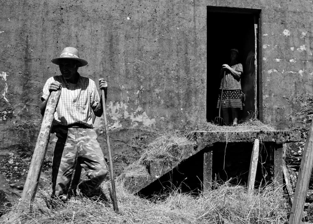 Rustic Farm Workers by Carlos Costa — canvas wall art