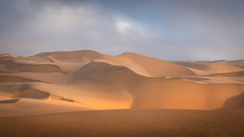 Golden Desert Dunes by Willa Wei — canvas wall art