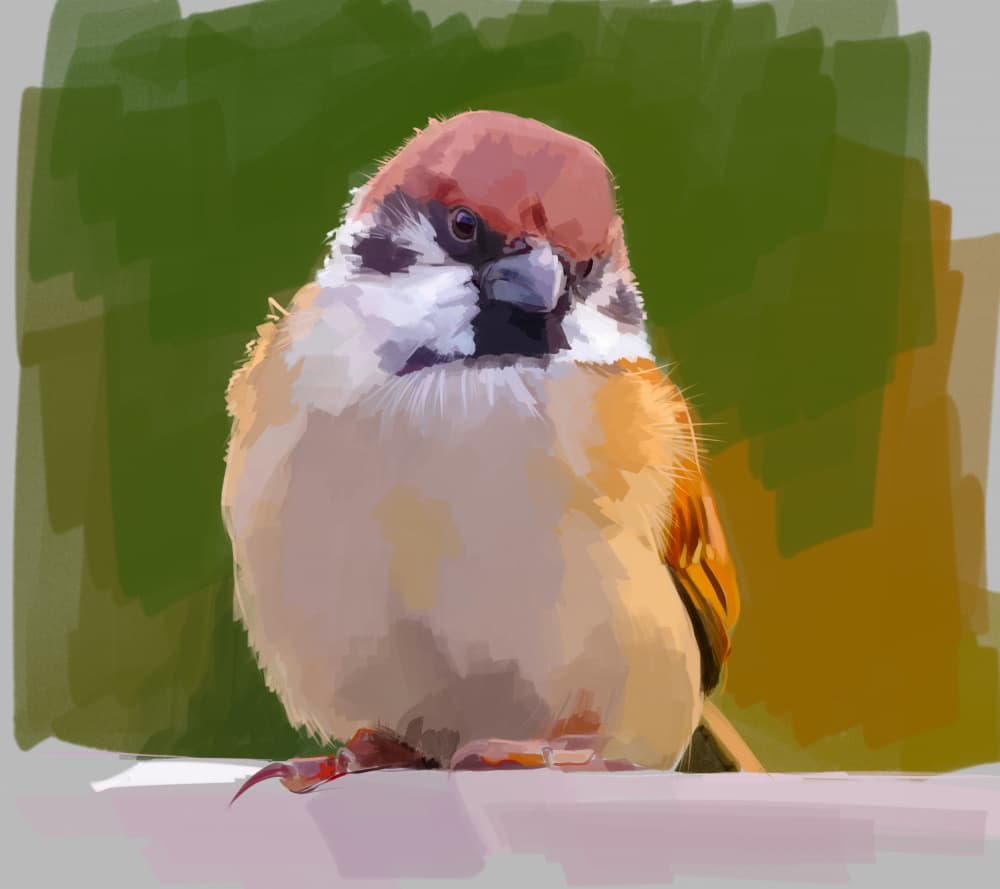 Curious Sparrow Gaze by Emily Kalina — canvas wall art