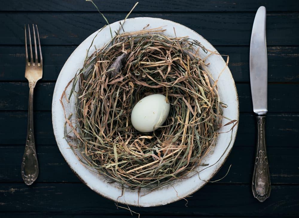 Rustic Nest Breakfast by Karina Aleksandrova — canvas wall art
