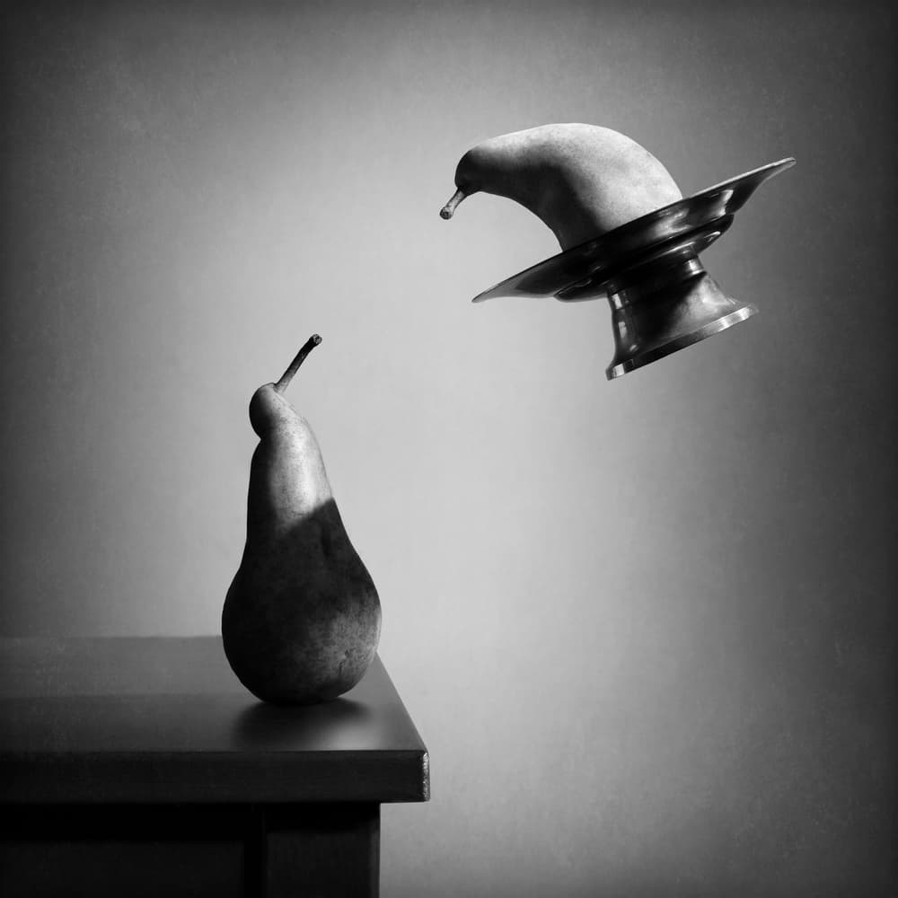 Curious Floating Pear by Victoria Glinka — canvas wall art