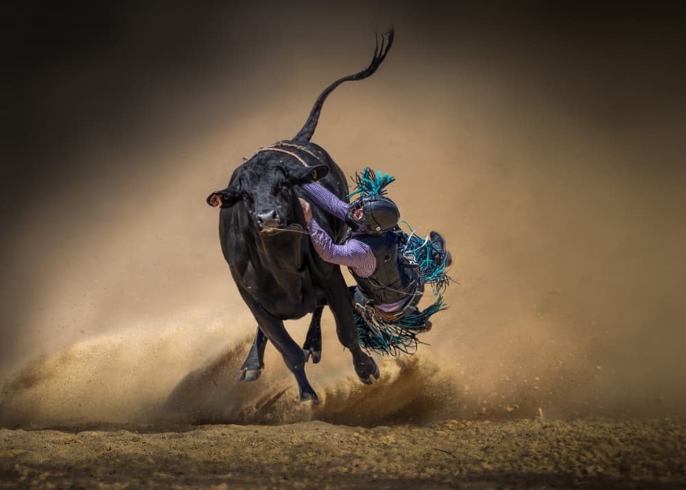 Bucking Bull Rider by Irene Wu — canvas wall art