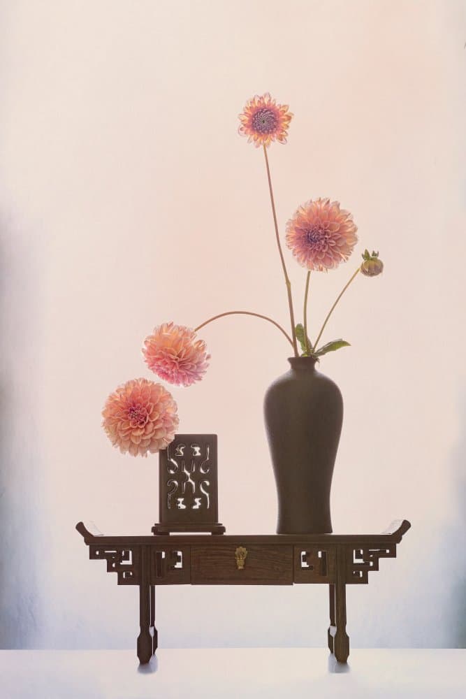 Elegant Dahlia Display by GaoSL — canvas wall art