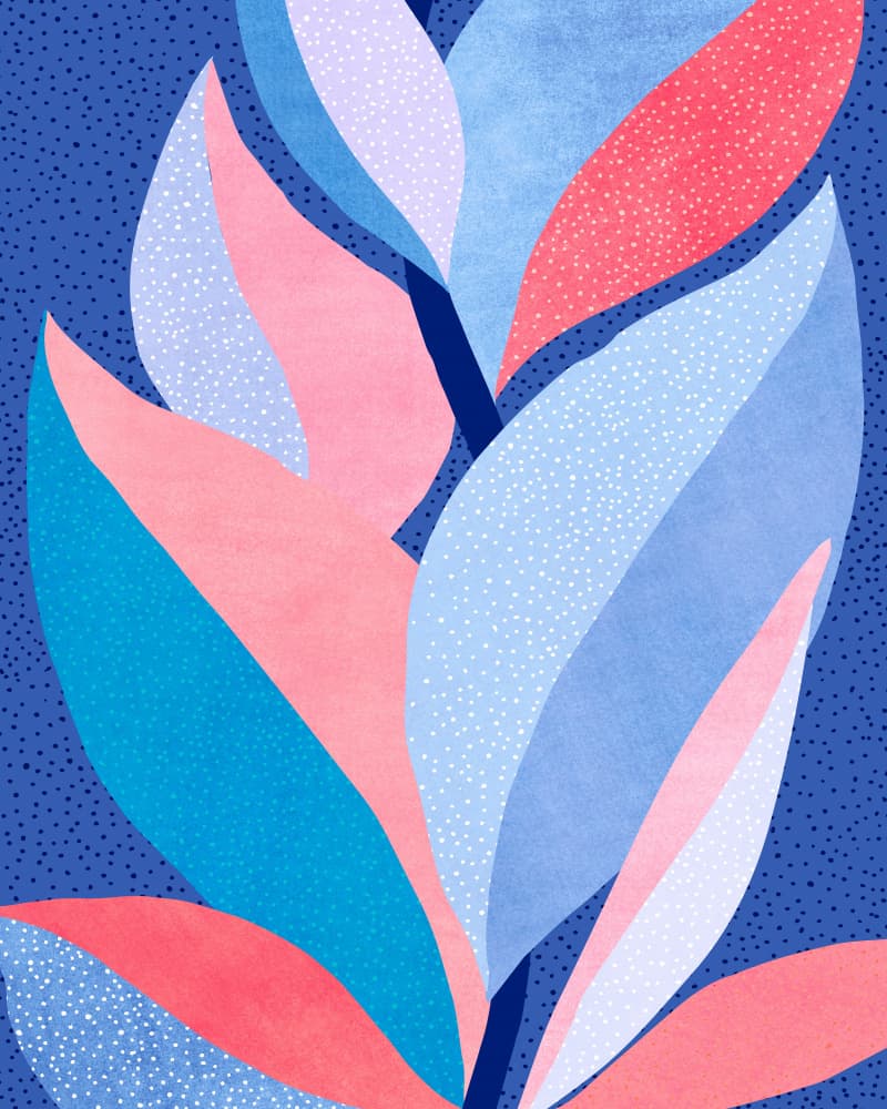 First Light 2 by Kristian Gallagher — canvas wall art