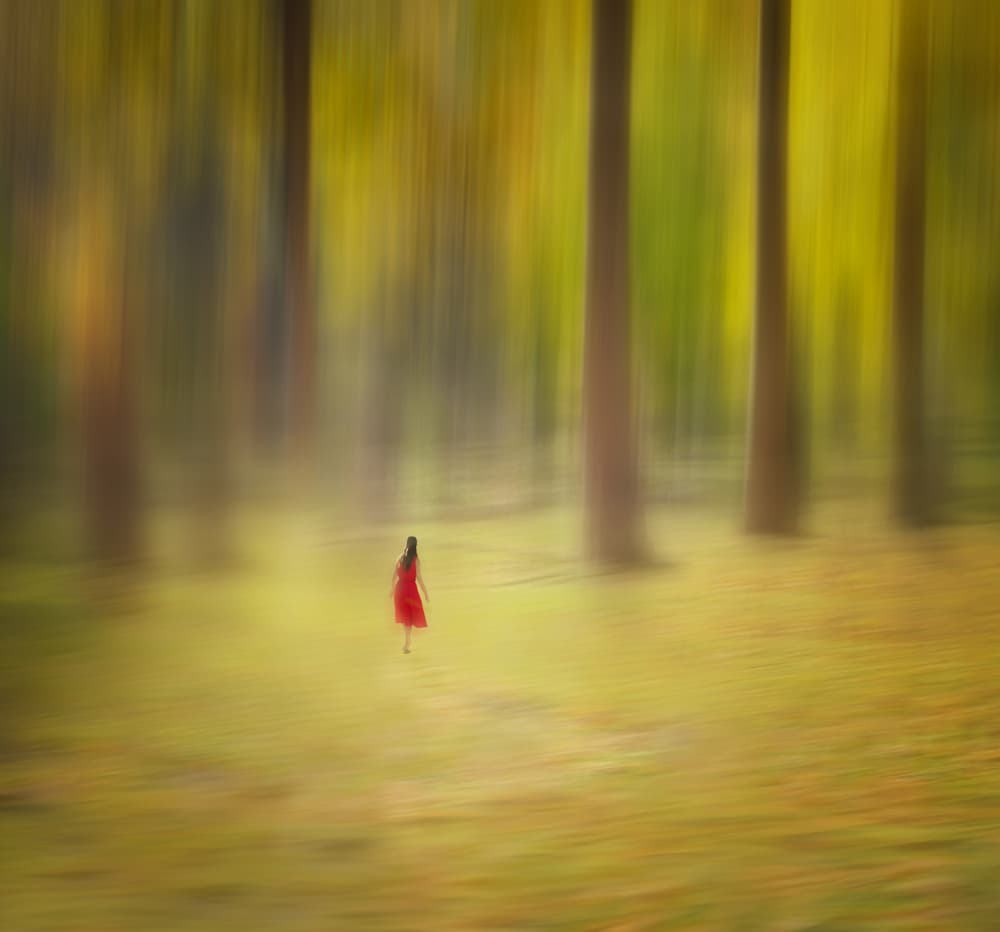 Red Dress Forest Walk by Hui — canvas wall art