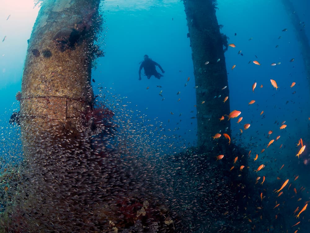 Diver At Ocean Pillars by Ilan Ben Tov — canvas wall art