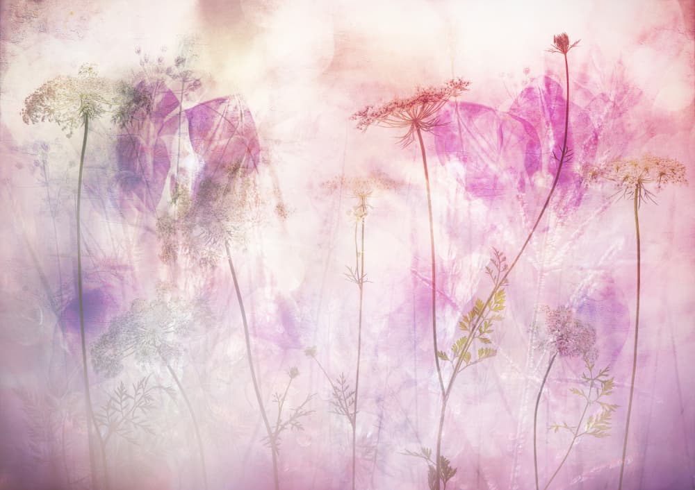 Dreamy Pink Meadow by Hilda van der Lee — canvas wall art
